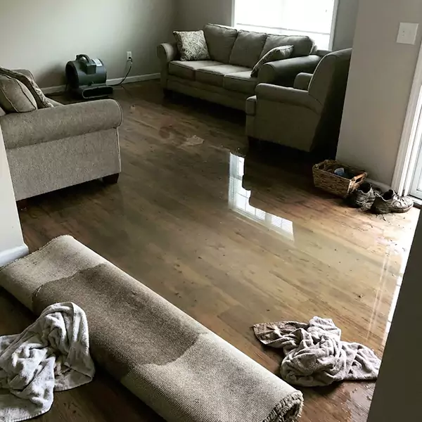 Flood Restoration in San Buenaventura, CA