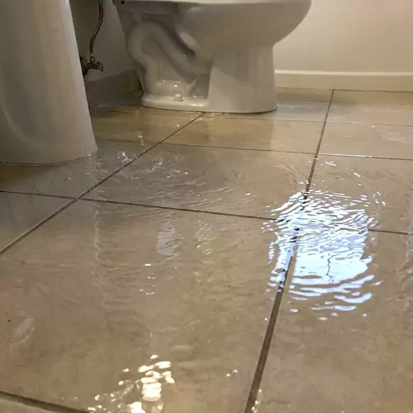 Expert Flooded Bathroom Restoration in San Buenaventura, CA 