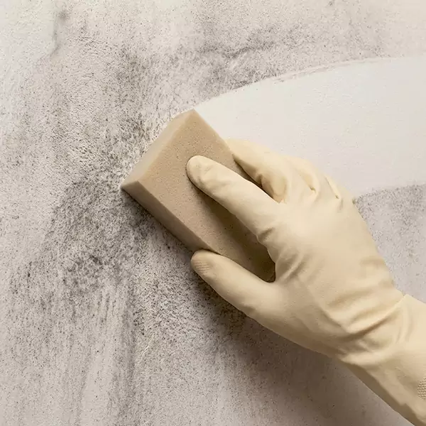 Smoke Cleaning in San Buenaventura, CA 