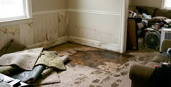 Why Choose Ventura Water Restoration For Water Damage Restoration Services in San Buenaventura, CA?