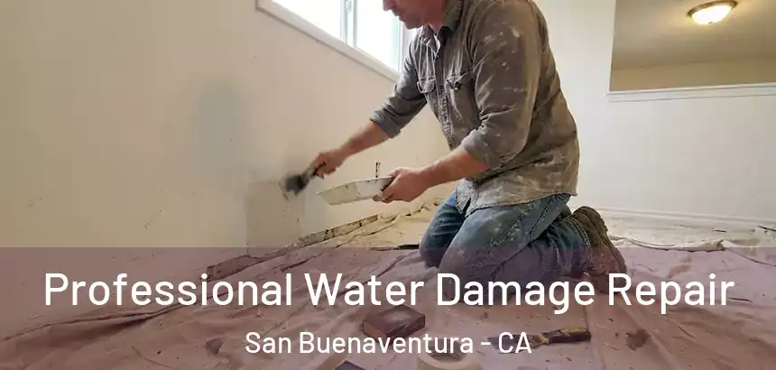 Professional Water Damage Repair San Buenaventura - CA