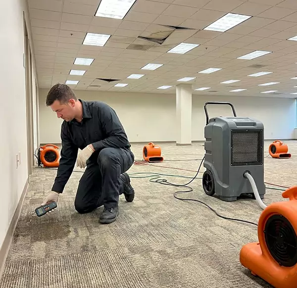 Why Businesses Choose Ventura Water Restoration for Commercial Water Damage in San Buenaventura, CA?