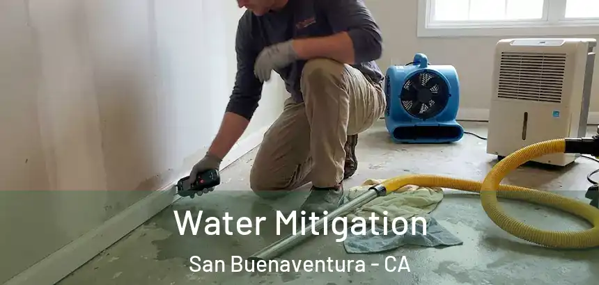 Water Mitigation San Buenaventura - CA