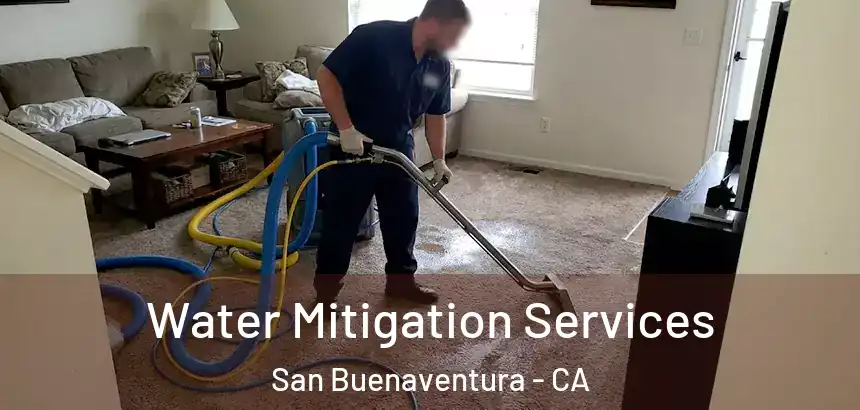  Water Mitigation Services San Buenaventura - CA