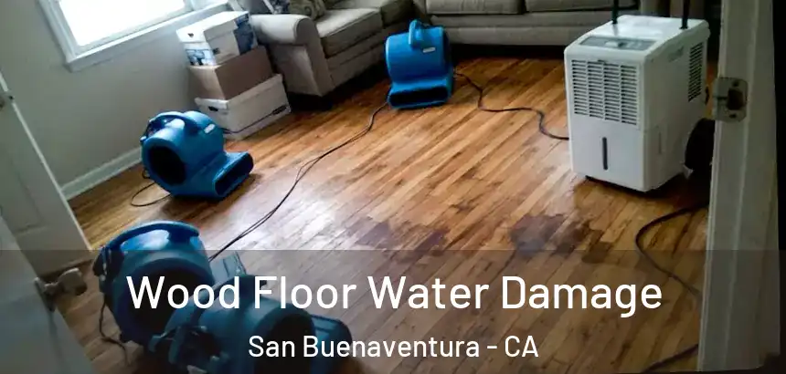  Wood Floor Water Damage San Buenaventura - CA